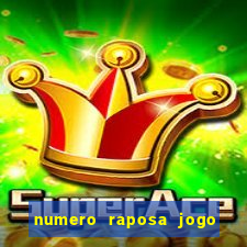 numero raposa jogo do bicho